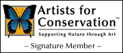 artists-for-conservation-member-logo-hb Artists for Conservation Foundation - Signature Member - Supporting Nature Through Art