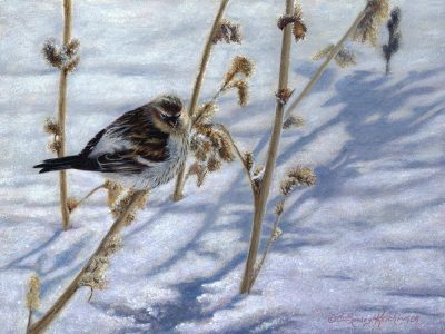 A touch of frost-9x12