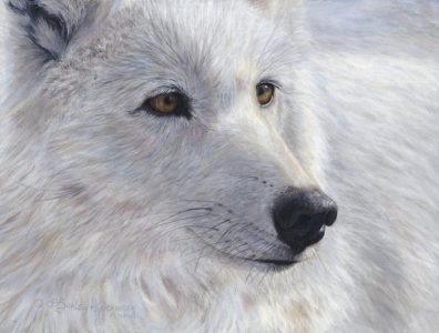 Artic gold-9x12-