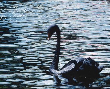 Black serenity-18x24