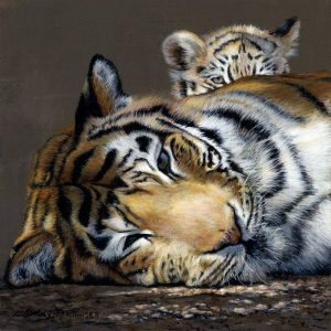 Peek-a-boo -7x7