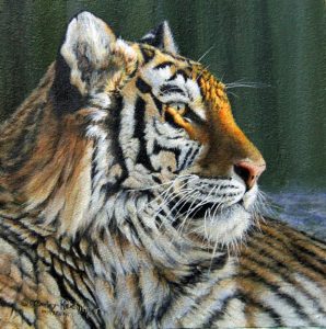 Sunning -8x8
