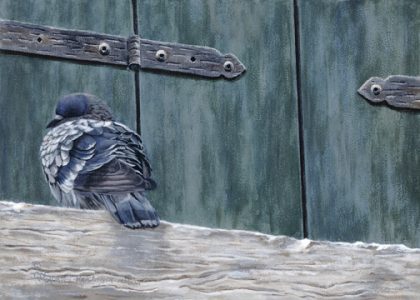 Venetian snooze-5x7