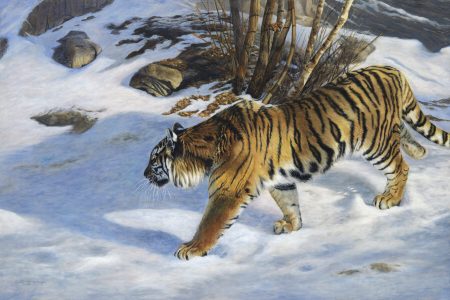 Tiger Prowl - 24x36 acrylic