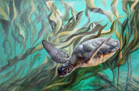 Seaweed dance or into the forest- 9x13