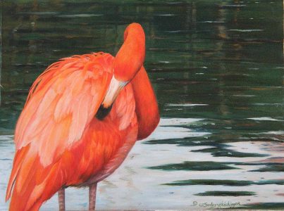 Hot pink flamingo in water