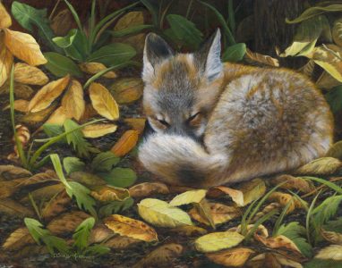Autumn Snooze - 11x14