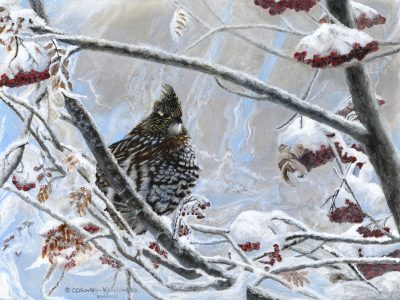 Roughed Grouse 9x12 Acrylic