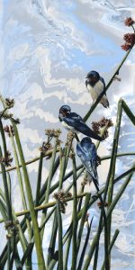 Swallow Dream - 18x9